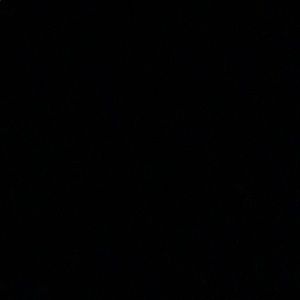 Meet your Posher, Earnest